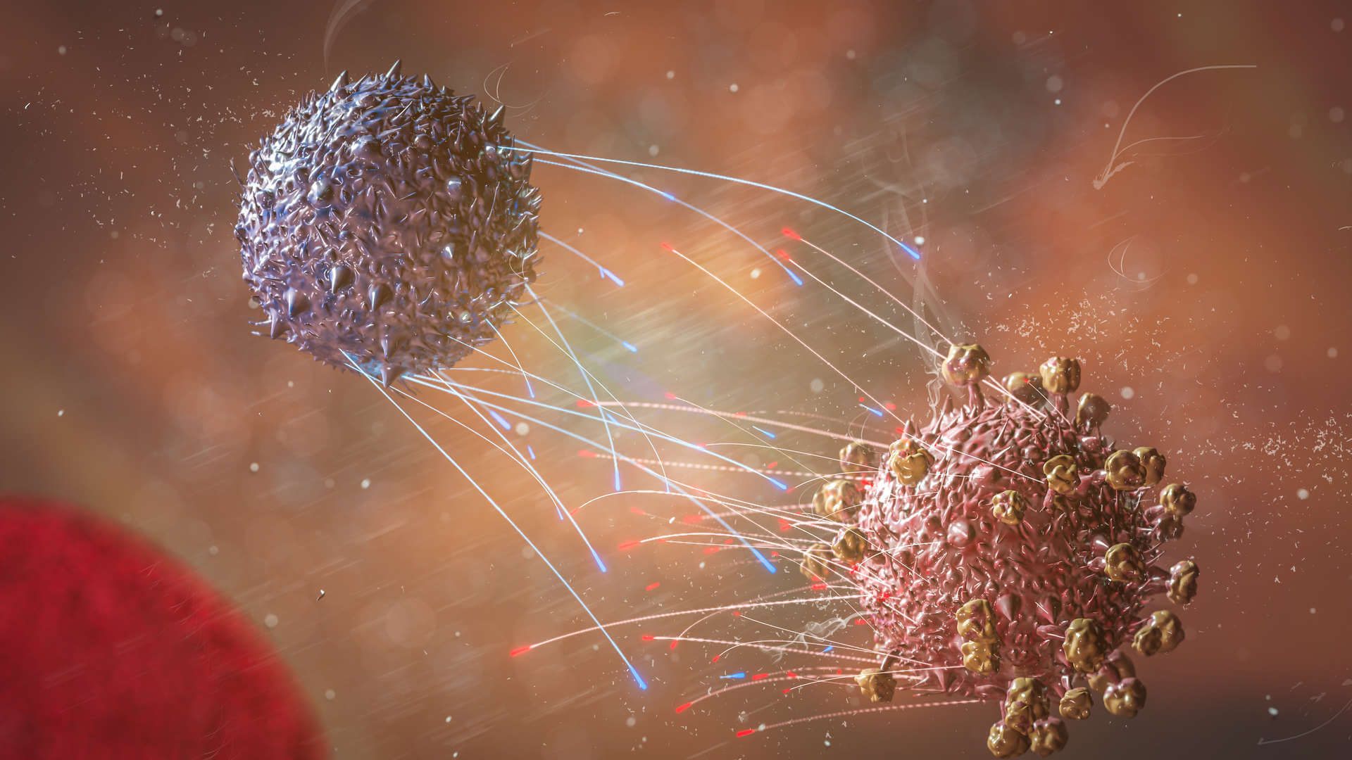 Immunomics Analysis Products