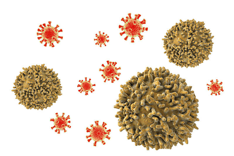 Cell Isolation Kits