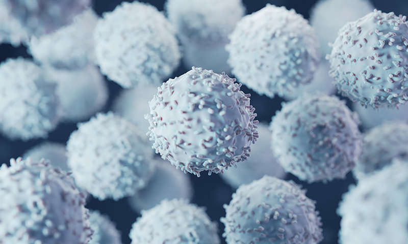 Epigenomic Analysis