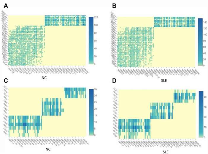 Fig.1 The TCR and BCR clonotypes are increased in SLE than in NC.