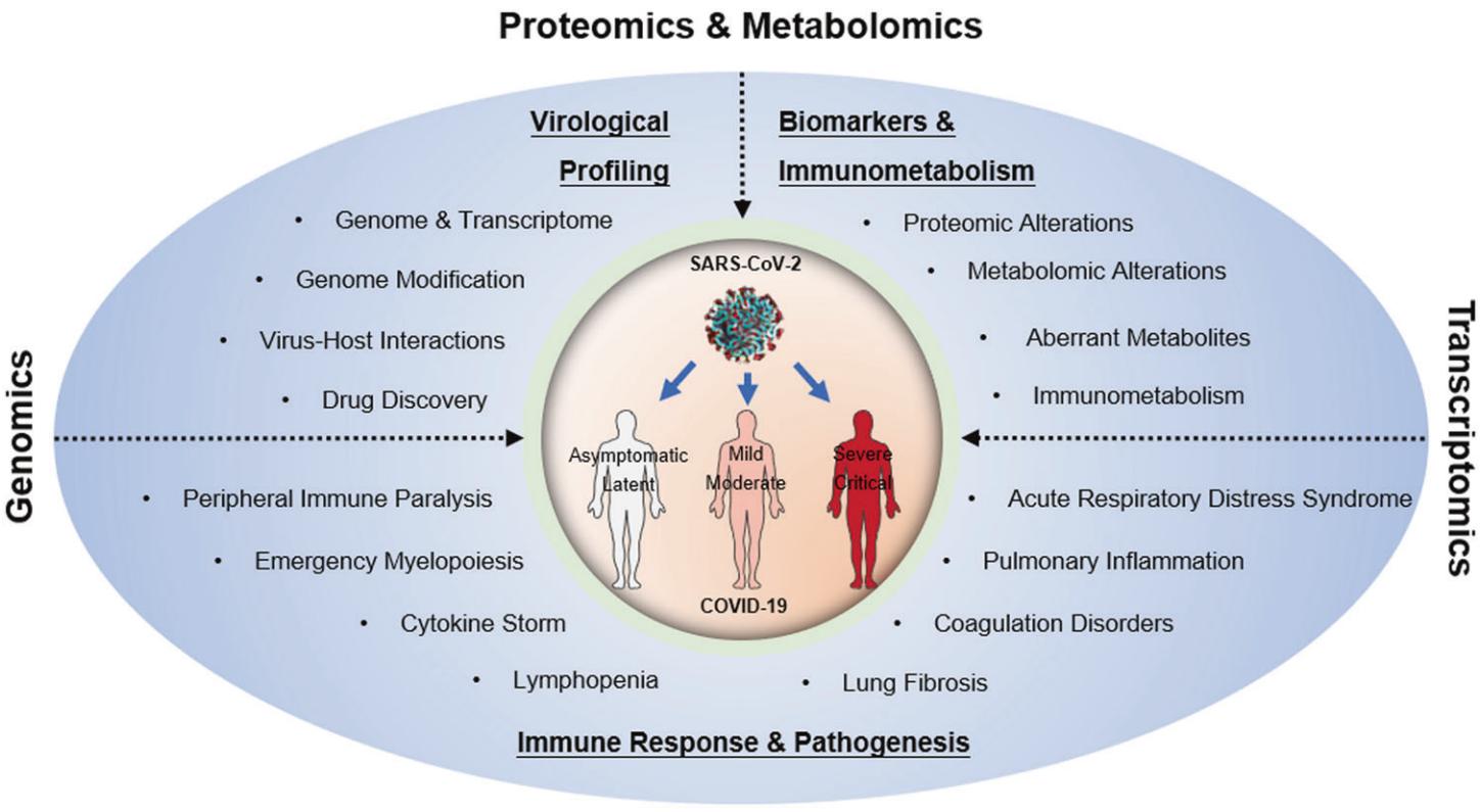 Fig.2 Multi-omics techniques help to define the immunological profile of viral infections, discover biomarkers, and elucidate pathogenesis.