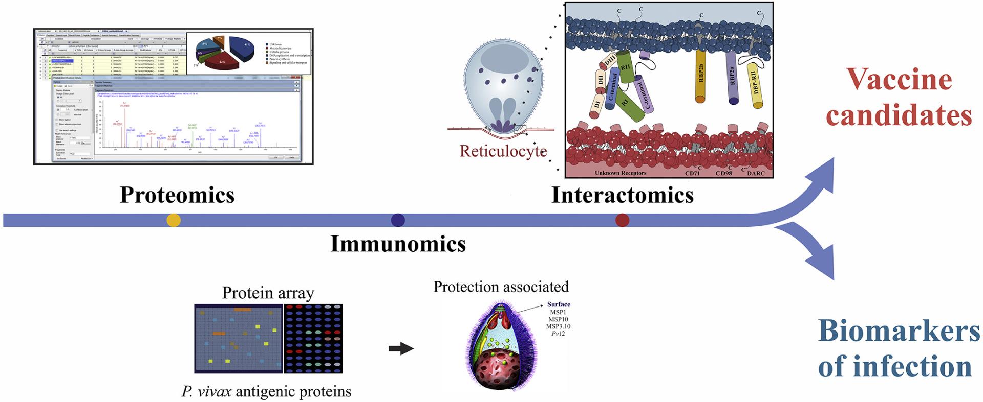 Fig.3 Immunomics analysis of parasites has driven the development of vaccines and diagnostics.