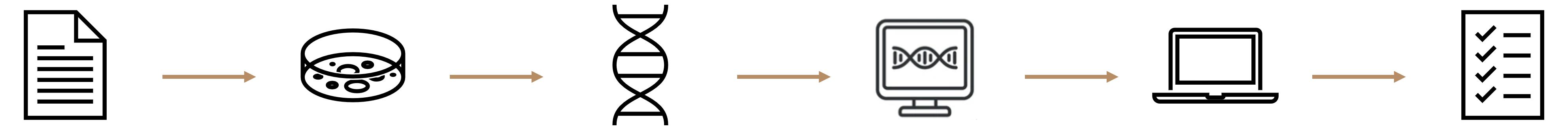Fig.2 Workflow.