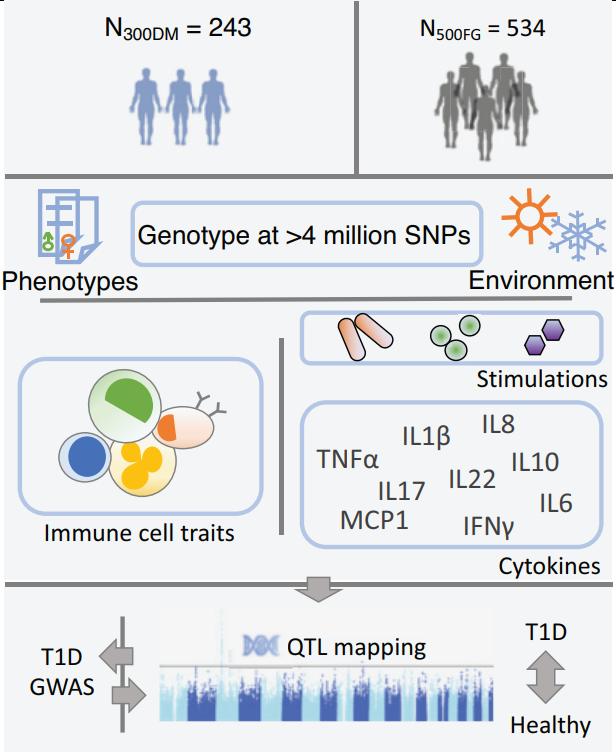 Fig.1 Schematic study design of genome-wide functional genomics approach.