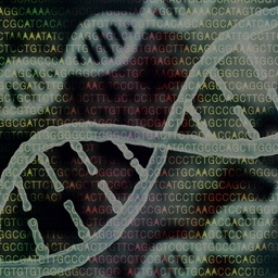 Fig.4 Pattern diagram of genomics.