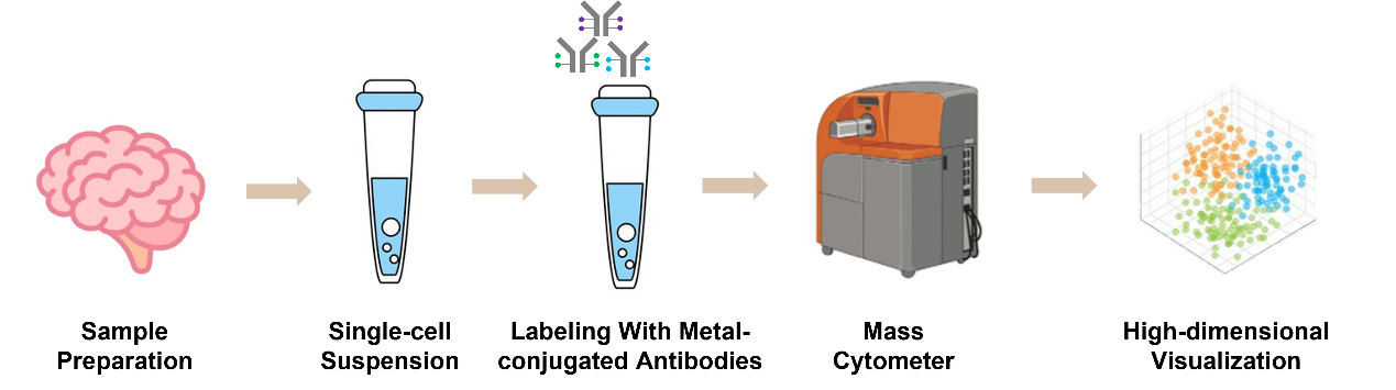 Fig.2 Workflow.