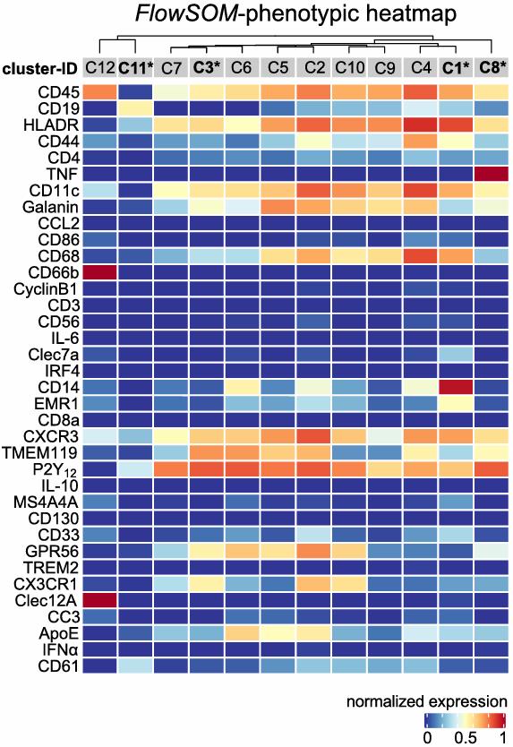 Fig.1 Heat map clusters show the expression levels of all 36 markers used for cluster analysis.