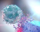 NK Cell Protein Profiling by CyTOF