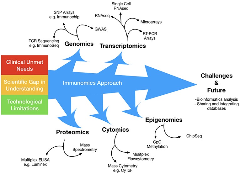 Fig.1 Immunomics is the application of high-dimensional techniques and proteomics is a part of immunomics.
