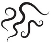 Fig.4 The icon of pathogens samples.