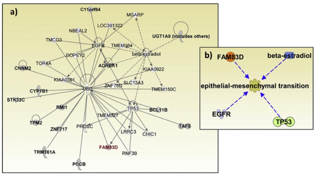 Fig.1 Ingenuity pathway analysis (IPA) analysis of 17 biomarkers of endometrial cancer.