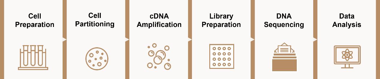 Fig.4 Workflow.
