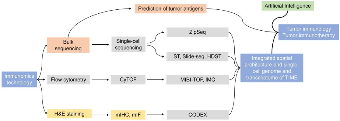 Fig.1 The historical trajectory and future prospects of tumor immunomics.