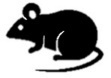 Fig.5 The icon of mouse samples.