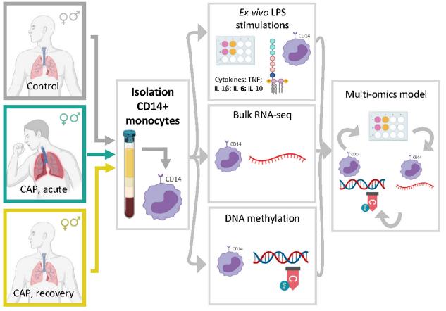 Fig.3 Schematic representation of research workflow.