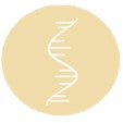 Fig.3 An icon of RNA.
