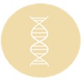 Fig.4 An icon of DNA.