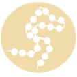 Fig.5 An icon of protein.